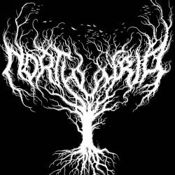 Northumbria : The Silver Forest